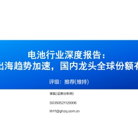 锂电池行业深度报告：2025年出海趋势加速，国内龙头全球份额有望提振