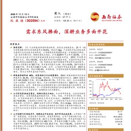 比亚迪研究报告：需求东风拂面，深耕业务多面开花