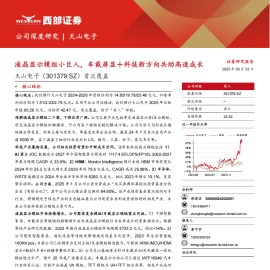 天山电子研究报告：液晶显示模组小巨人，车载屏显＋科技新方向共助高速成长