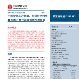 黑芝麻智能公司研究：中国智驾芯片新星，自研技术领先叠加国产替代趋势引领快速发展