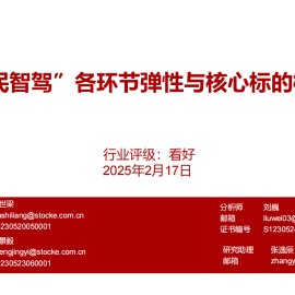 汽车行业专题报告：“全民智驾”各环节弹性与核心标的梳理