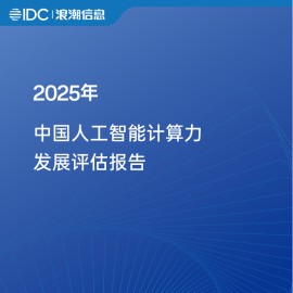 2025年中国人工智能计算力发展评估报告