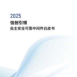 2025信创引领：自主安全可靠中间件白皮书