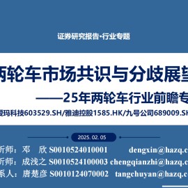 2025年两轮车行业前瞻专题：两轮车市场共识与分歧展望