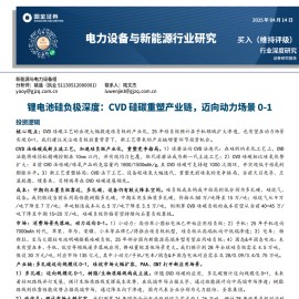 锂电池硅负极行业专题报告：CVD硅碳重塑产业链，迈向动力场景0~1