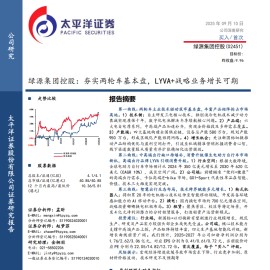 绿源集团控股研究报告：夯实两轮车基本盘，LYVA+战略业务增长可期