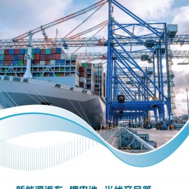 新能源汽车、锂电池、光伏等重点产品国际认证指南