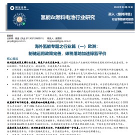 欧洲氢能源行业专题报告：制储运用政策完善，碳税落地加速绿氢平价