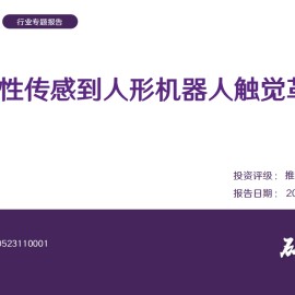 电子皮肤行业专题报告：从柔性传感到人形机器人触觉革命