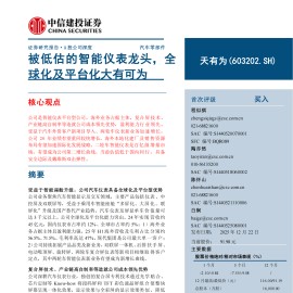 天有为：被低估的智能仪表龙头，全球化及平台化大有可为