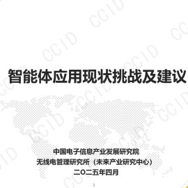 2025年智能体应用现状挑战及建议报告