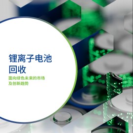 德勤-锂离子电池回收：面向绿色未来的市场及创新趋势