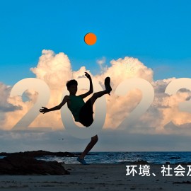 各车企可持续发展报告等