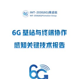 通信行业：6G基站与终端协作感知关键技术报告