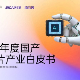 2025年度国产AI芯片产业白皮书