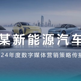 2024年度新能源汽车数字媒体营销策略传播案