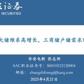 储能行业专题报告：全球大储维系高增长，工商储户储需求回暖