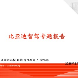 比亚迪智驾专题报告