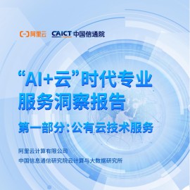 “AI+云”时代专业服务洞察报告+第一部分：公有云技术服务
