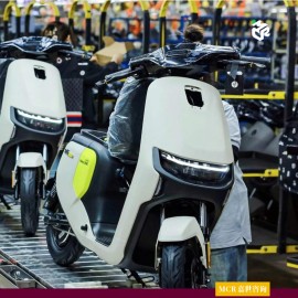 上海嘉世营销咨询-2025中国两轮电动车行业现状报告