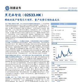 黑芝麻智能研究报告：稀缺的国产智驾芯片领军，量产优势引领快速成长