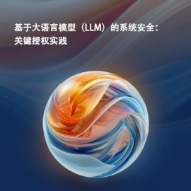 基于大语言模型（LLM）的系统安全：关键授权实践