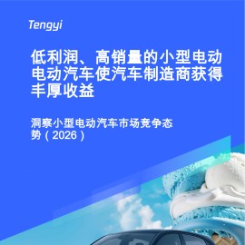 洞察小型电动汽车市场竞争态势（2026）-低利润、高销量的小型电动电动汽车使汽车制造商获得丰厚收益