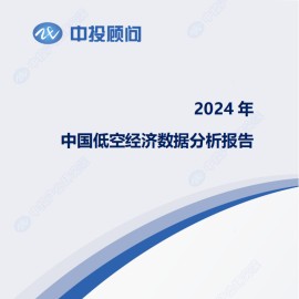 2024年中国低空经济数据分析报告
