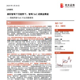 智能驾驶SoC行业深度报告：高阶智驾下沉趋势下，智驾SoC成黄金赛道