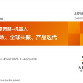 机器人行业2025年度策略：算力提效、全球共振、产品迭代