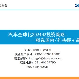 汽车行业2024H2投资策略：精选国内外共振α品种