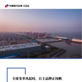 汽车行业出海专题报告：全球变革风起时，自主品牌正扬帆