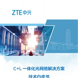 中兴：2025年C+L一体化光网络解决方案技术白皮书