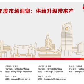 新能源行业半年度市场洞察：供给升级带来产业变革