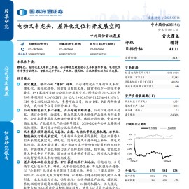 中力股份研究报告：电动叉车龙头，差异化定位打开发展空间