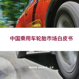 乘用车轮胎市场白皮书
