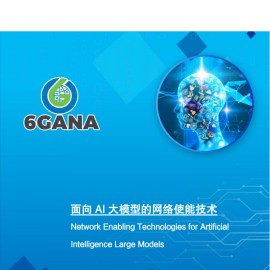 面向AI大模型的网络使能技术