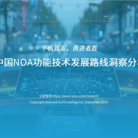 2024中国NOA功能技术发展路线洞察分析报告：千帆竟发，勇进者胜