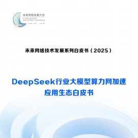 2025DeepSeek行业大模型算力网加速应用生态白皮书