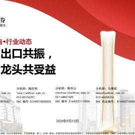 汽车行业分析：内需与出口共振，成长与龙头共受益