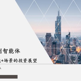 人工智能+场景的投资展望专题报告：从大模型到智能体