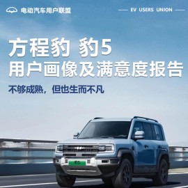 2025方程豹豹5用户画像及满意度报告