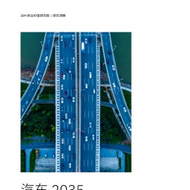 汽车2035_软件定义时代的成功之道一全球及中国洞察
