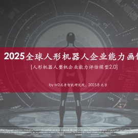 2025全球人形机器人企业能力画像整机能力评估模型V2.0