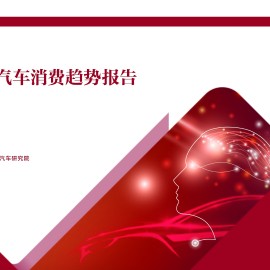 中国女性汽车消费趋势报告（2024）