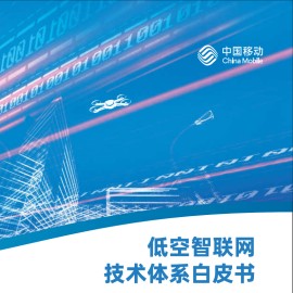 2024低空智联网行业技术体系白皮书