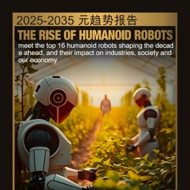 2025-2035年人形机器人发展趋势报告