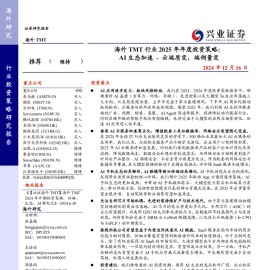 海外TMT行业2025年年度投资策略：AI生态加速~云端质变，端侧量变