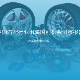 中国汽配行业出海国别机会洞察报告