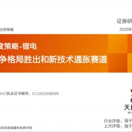锂电行业2025年度策略：优选竞争格局胜出和新技术通胀赛道